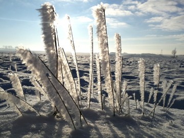 Frost, <p>Marta Spętana</p>